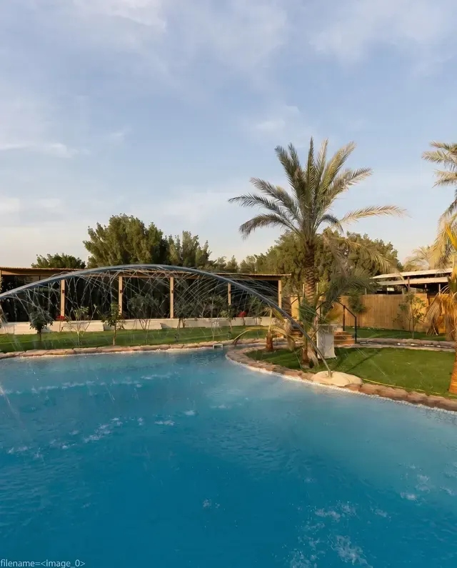 Al Ali Island pool among the palms, Dubai
