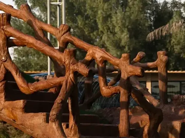 Driftwood detail